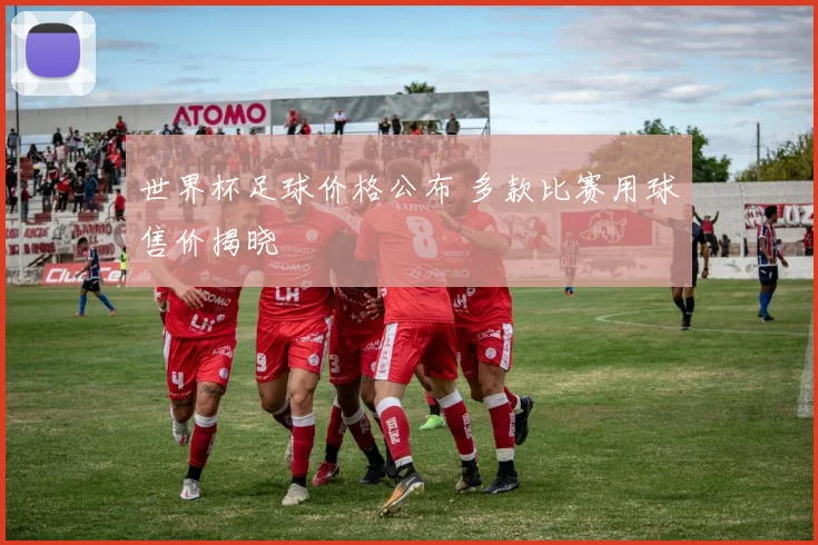 世界杯足球价格公布 多款比赛用球售价揭晓