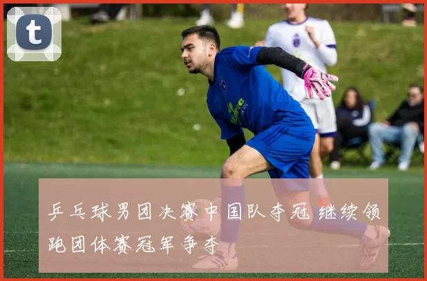 乒乓球男团决赛中国队夺冠 继续领跑团体赛冠军争夺