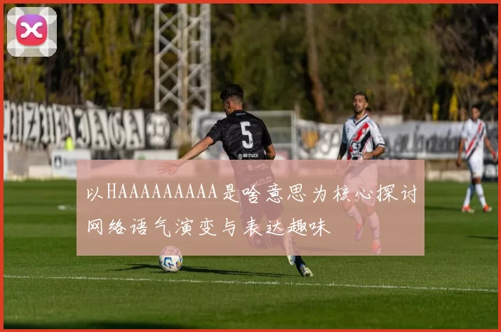 以HAAAAAAAAA是啥意思为核心探讨网络语气演变与表达趣味