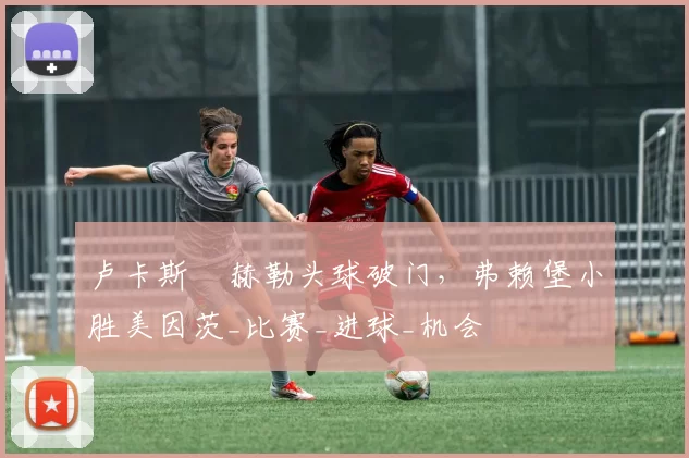 卢卡斯・赫勒头球破门，弗赖堡小胜美因茨_比赛_进球_机会